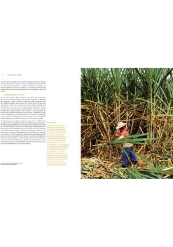 RHUM Fabien Humbert -Mars Soldes livre rhum fabien humbert 2