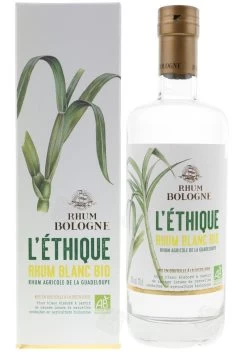 Bologne - L'Éthique