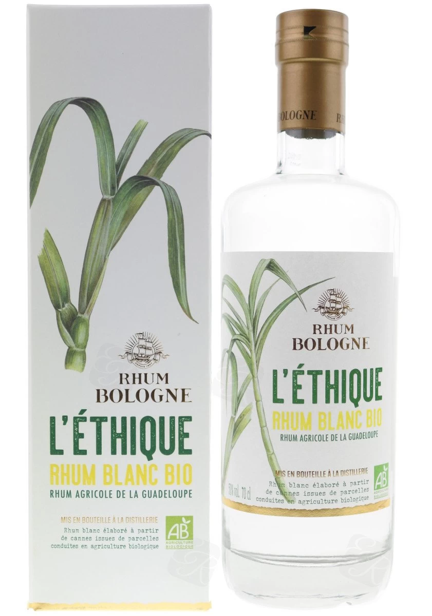 Bologne - L'Éthique 3 Bologne - L'Éthique